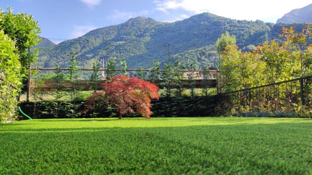 Appartamento La Casa Di Sara In Valsassina Introbio Esterno foto